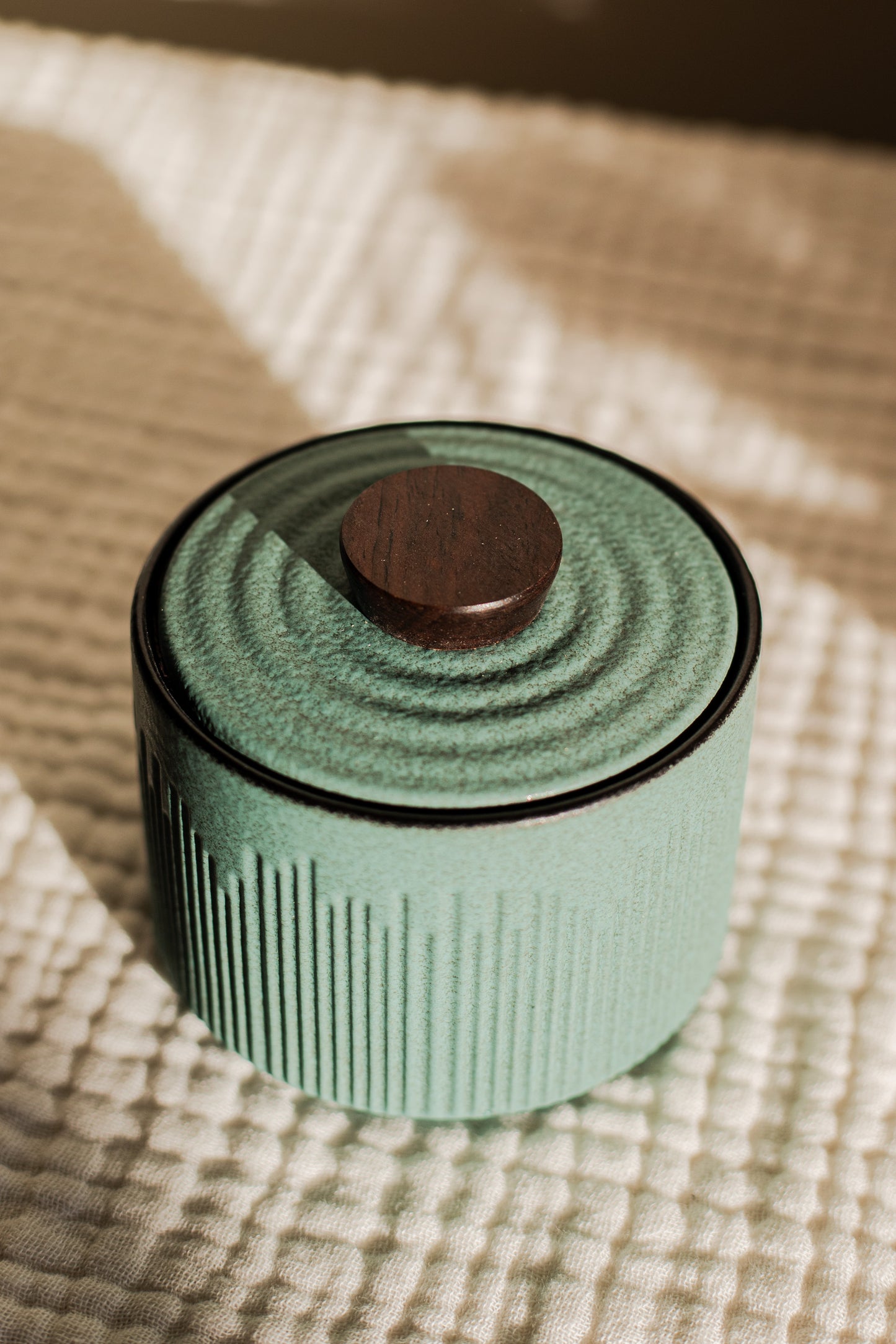 kleine blauwe groene moderne urn urne dieren hond kat urn menselijk as familie urn