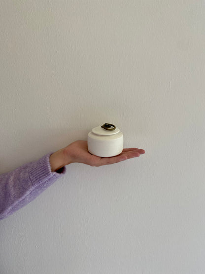 kleine witte urn oosterse urne dieren hond kat urn menselijk as in hand