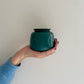 blauwe mini kleine urn urne dieren hond kat urn menselijk as in hand